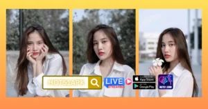 Tari Permatasari HOT51APK