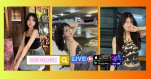 Bölsterli HOT51APK