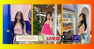 Treasure Hollis HOT51APK
